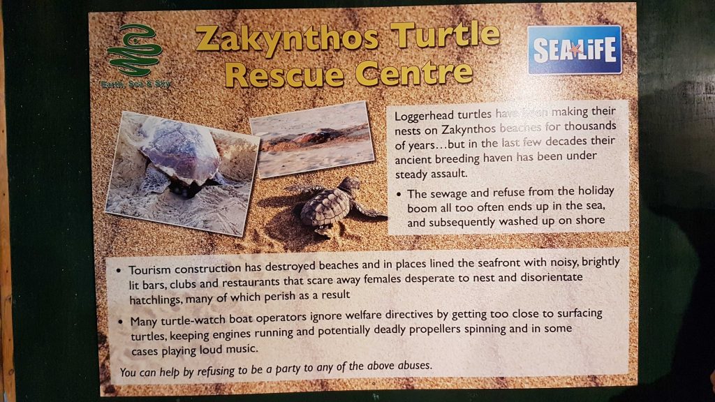 Information om skildpadderne