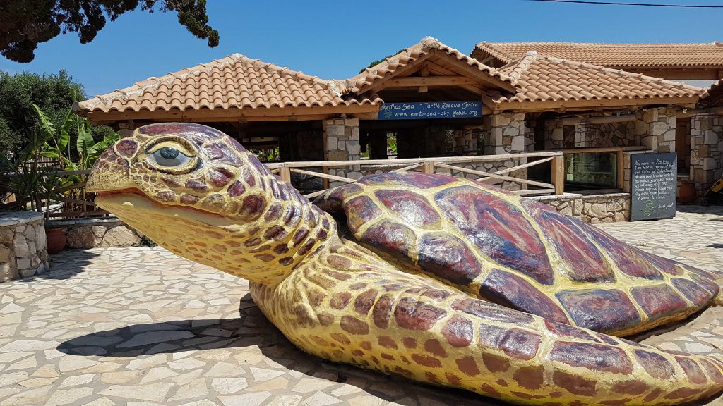 Turtle center Zakynthos