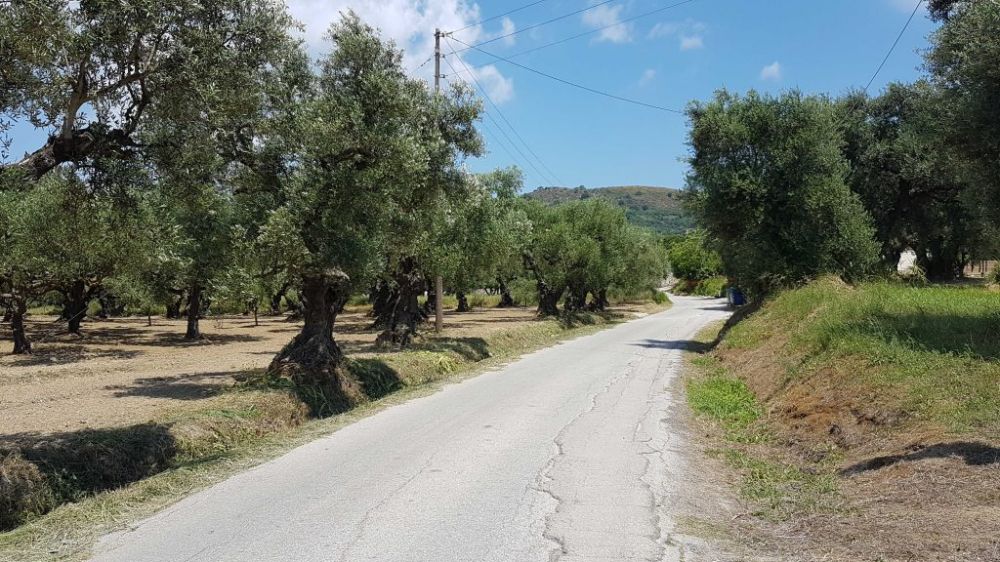 Roadtrip Zakynthos