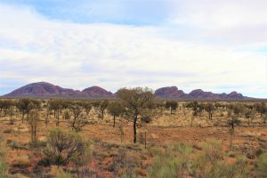 Outback Australien