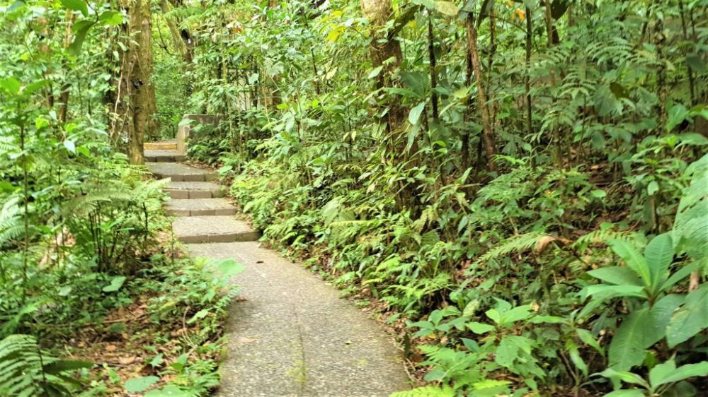 Manuel Antonio