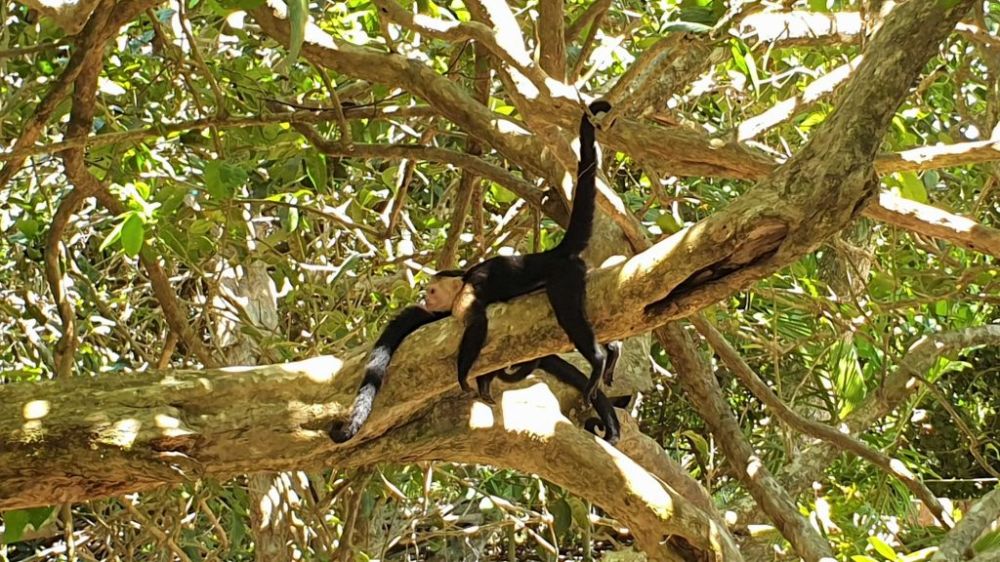 Hvad skal man se i Costa Rica