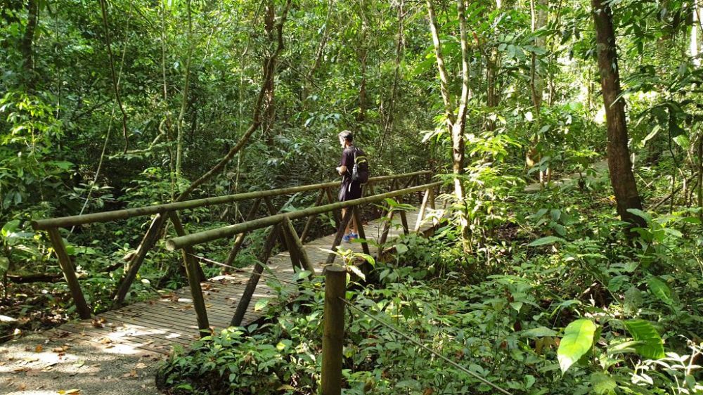 Hvad skal man se i Costa Rica