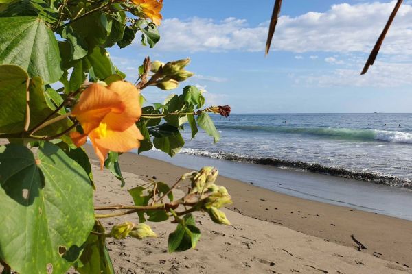 hvad-skal-man-se-i-costa-rica