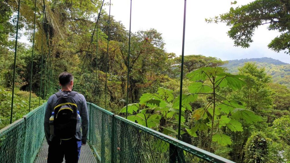 Monteverde Tågeskov