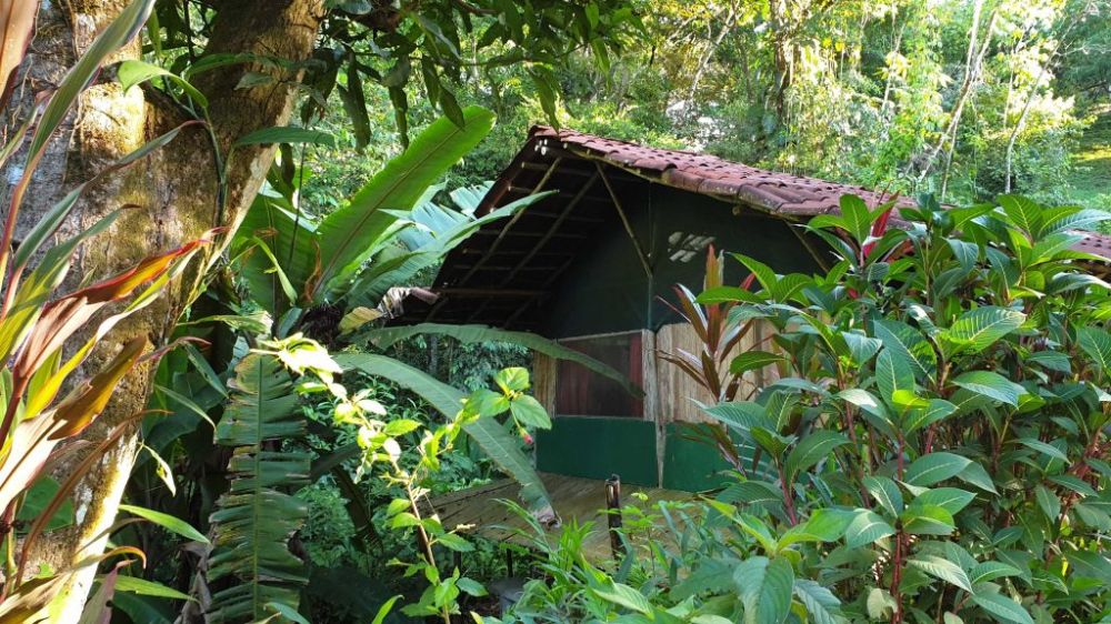 Junglehytte i Costa Rica
