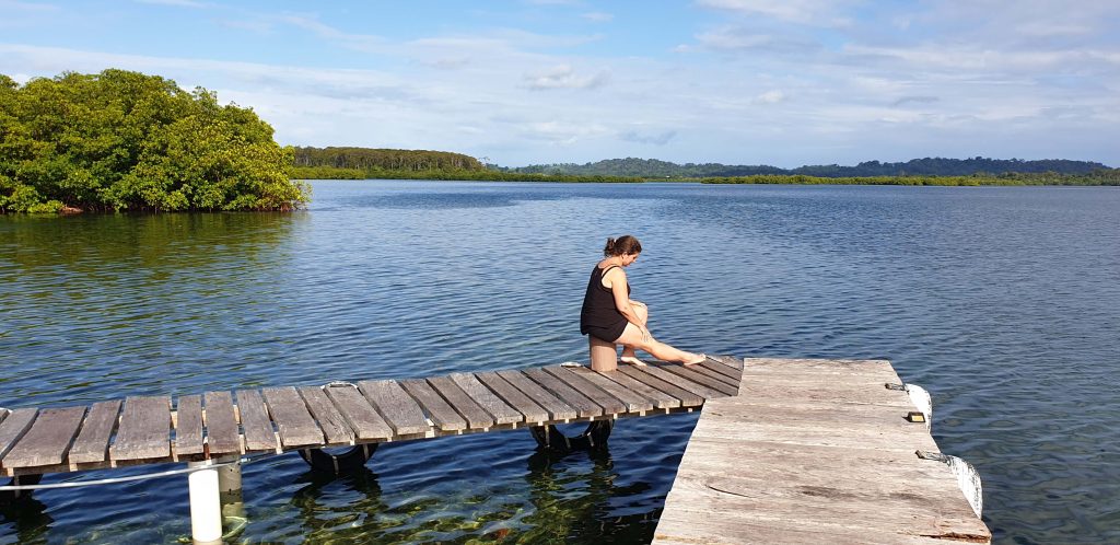 Året der gik reflektioner