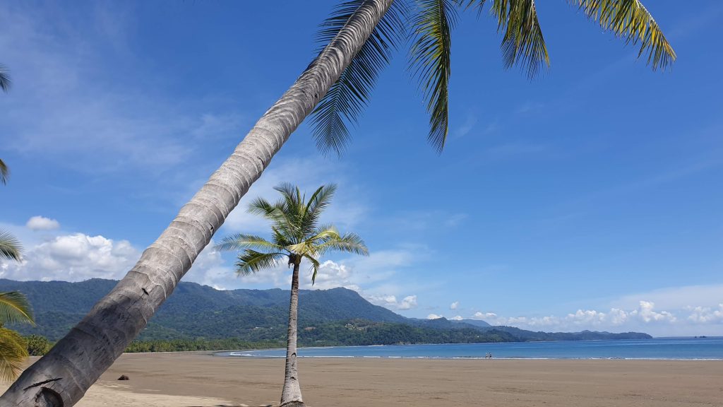 Lækker strand Costa Rica