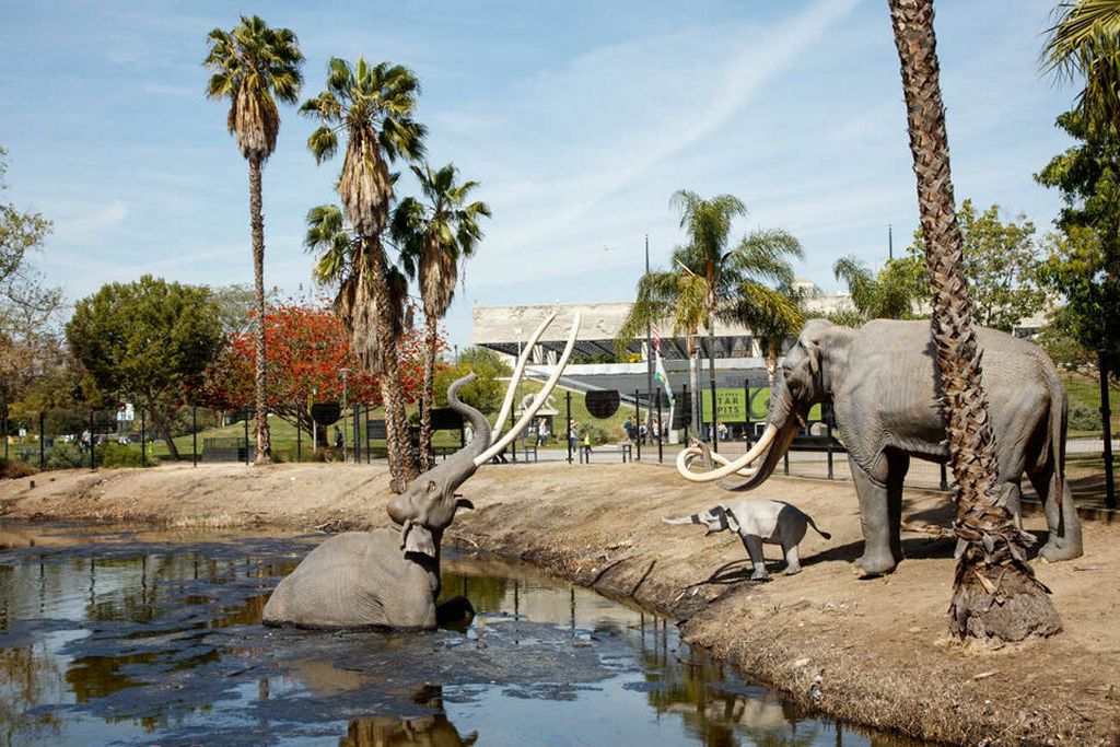 La Brea - oplevelser i Los Angeles