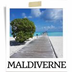 Maldiverne