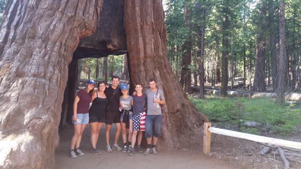 Mariposa Grove