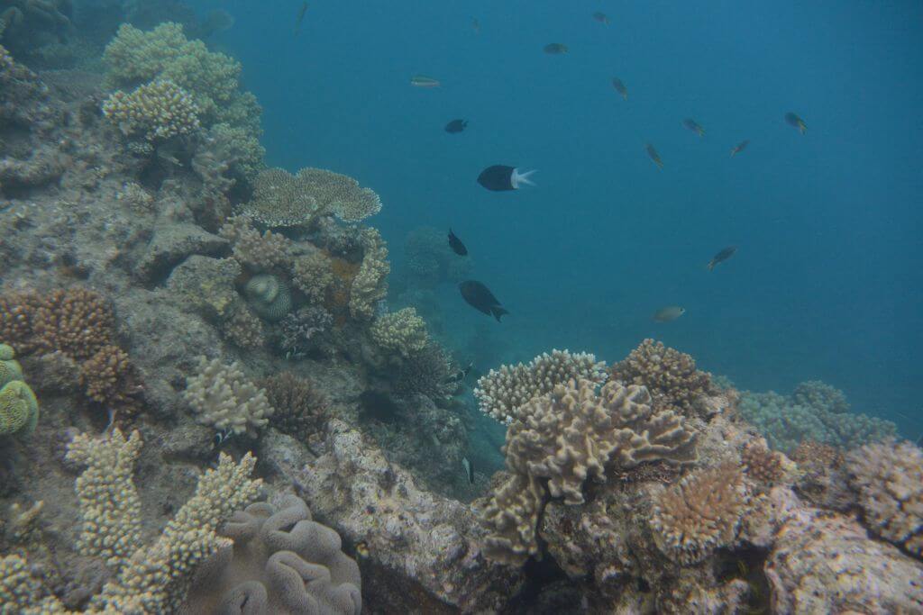 Great Barrier Reef