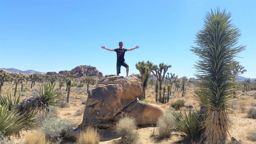 Joshua Tree nationalpark