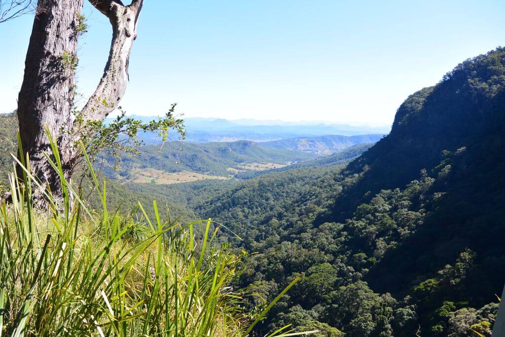 Lamington National Park