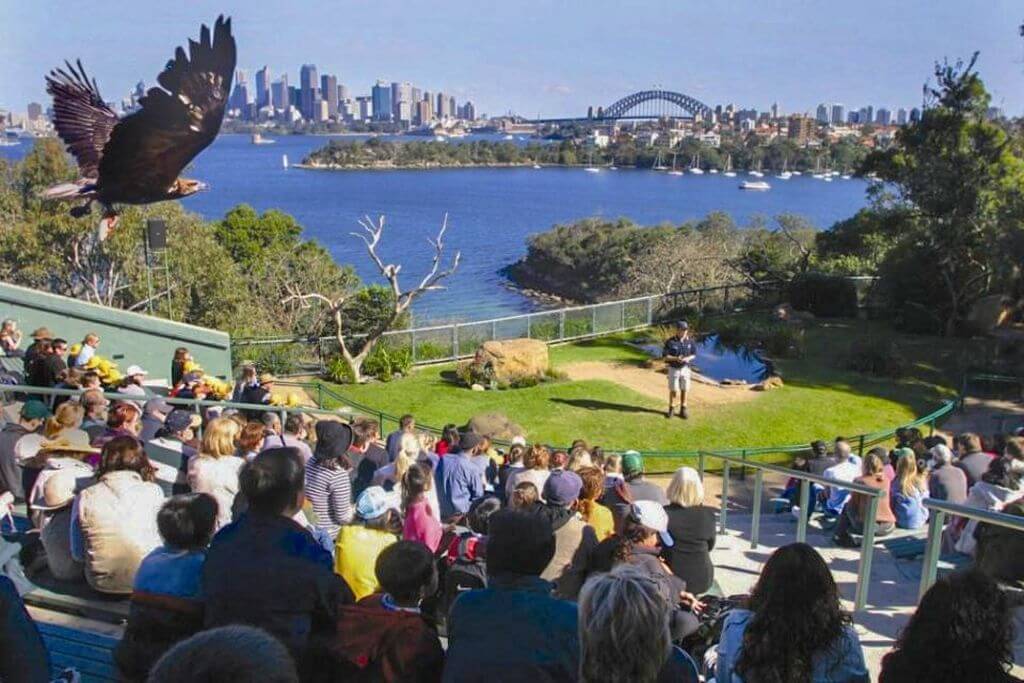 Taronga zoo