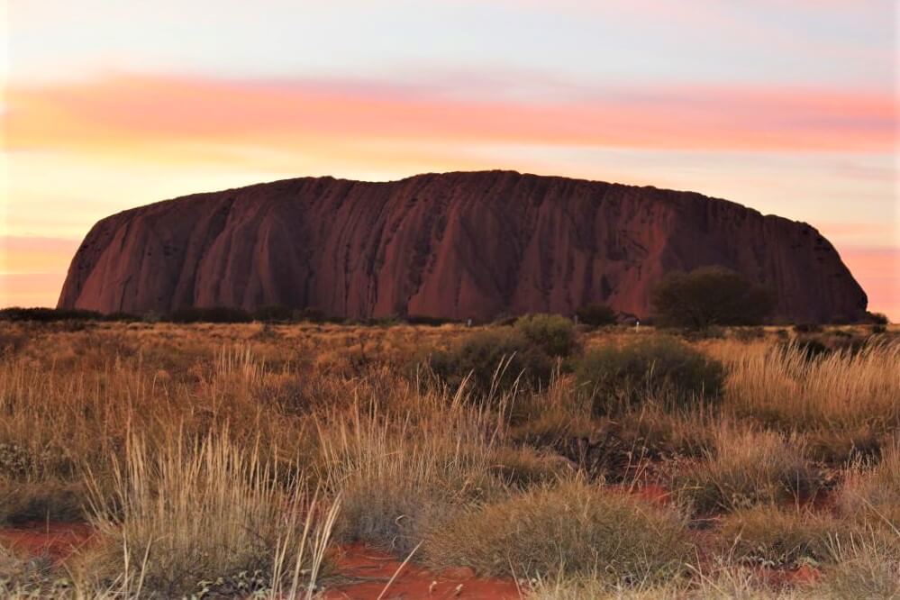 Uluru i flot morgenlys