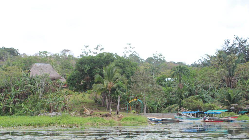 Panama City regnskov
