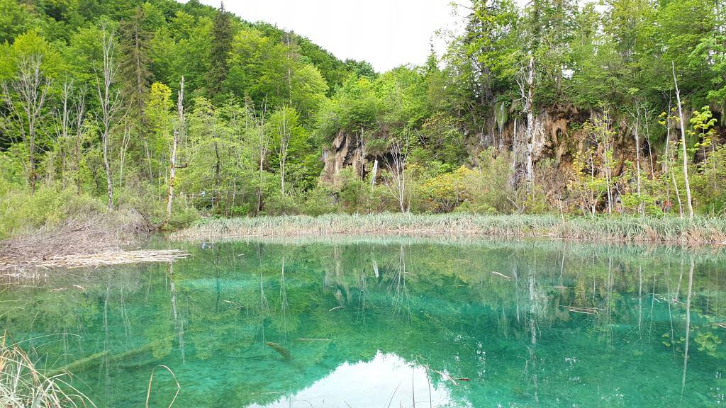 nationalparker i kroatien plitvice
