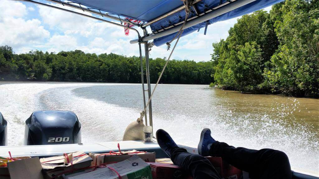 Borneo flodtur gennem regnskoven