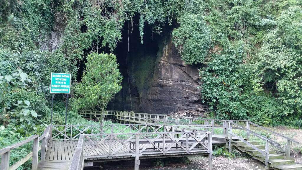 Gomantong grotten på Borneo