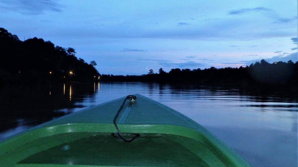Sejler ud i natten i Borneo regnskov