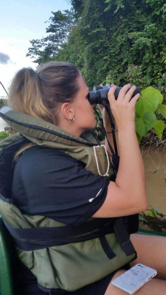 Spotter wildlife på Borneo