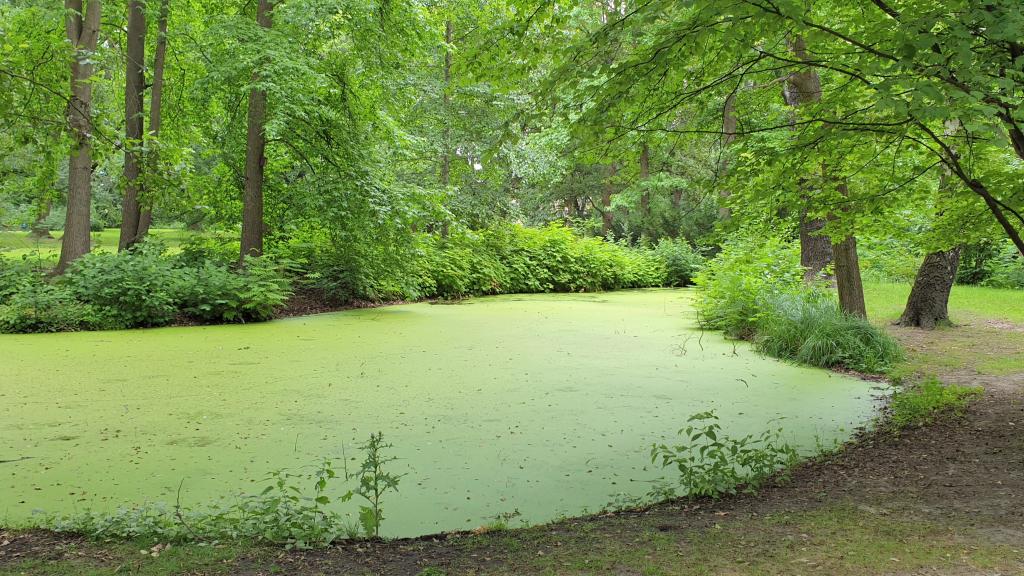 Tiergarten