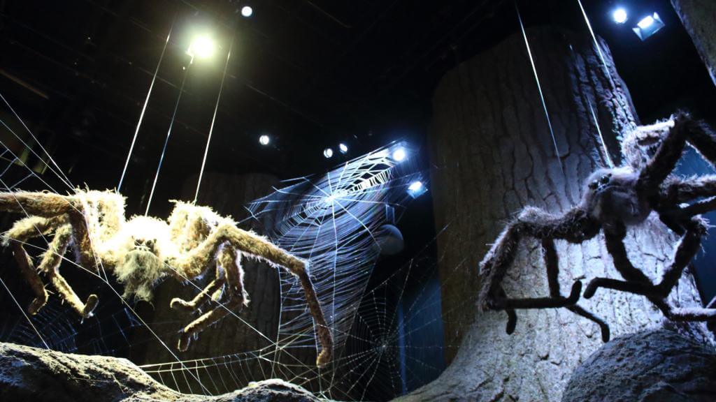 Edderkopper i Harry Potter Studio London