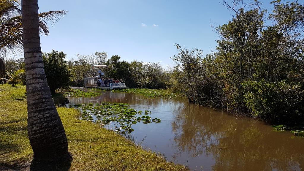 Airboat i Everglades