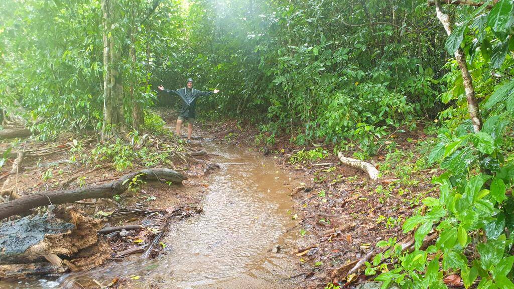 Regnvejr i Corcovado Nationalpark