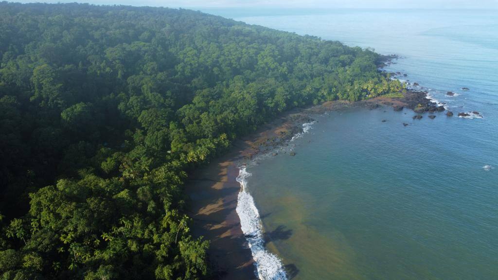 Smukke Corcovado Nationalpark