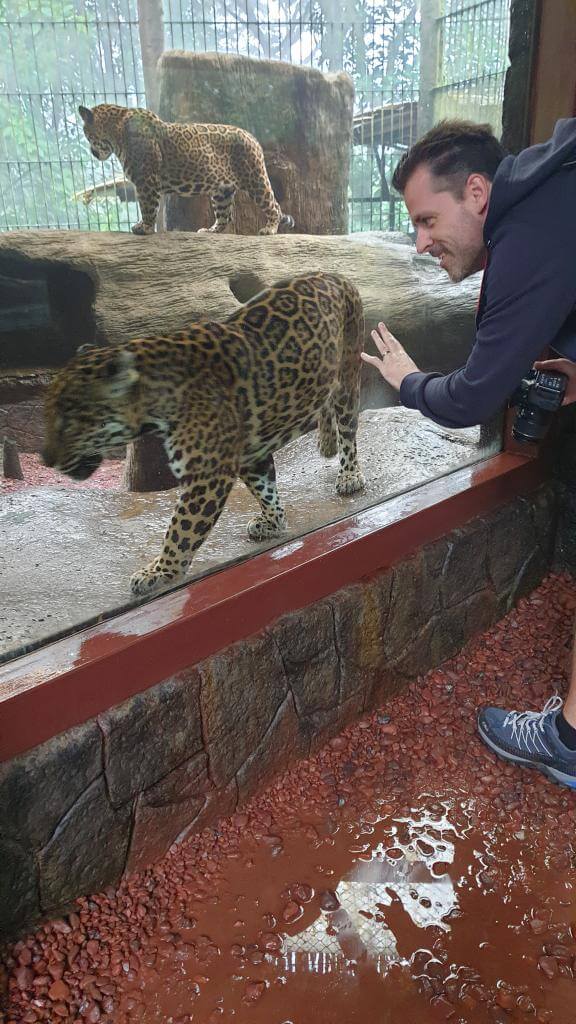 Flotte jaguarer i La Paz