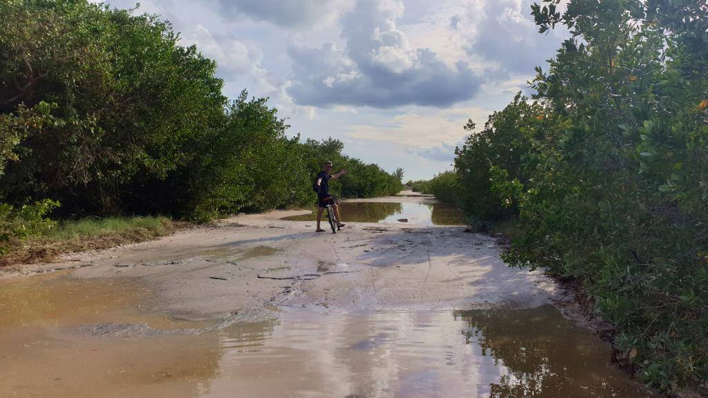 Oversvømmelse på Isla Holbox