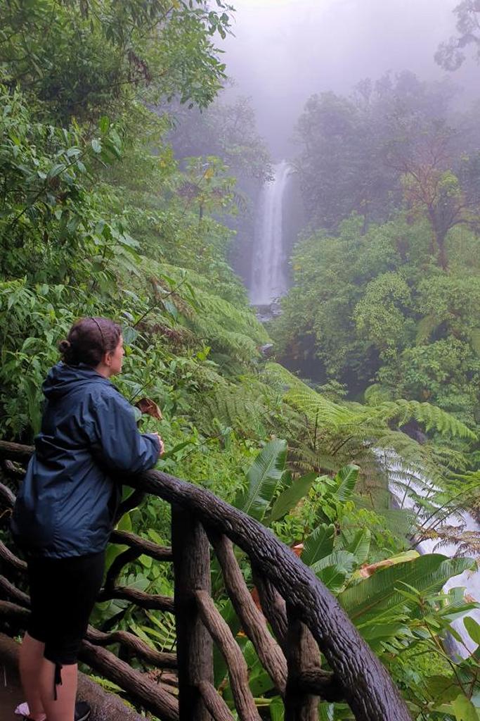 Smuk natur og costa rica dyreliv i LA Paz