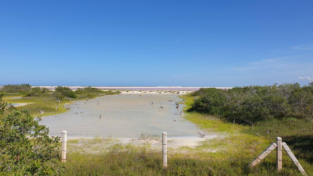 Las Coloradas Yucatan