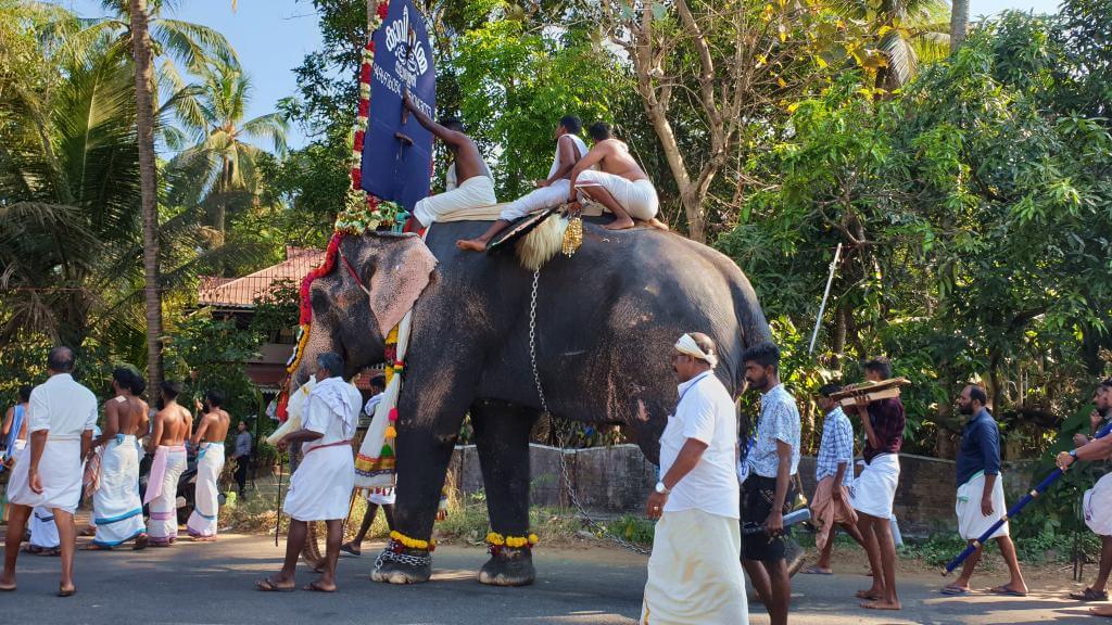 Pyntet elefant i Sydindien