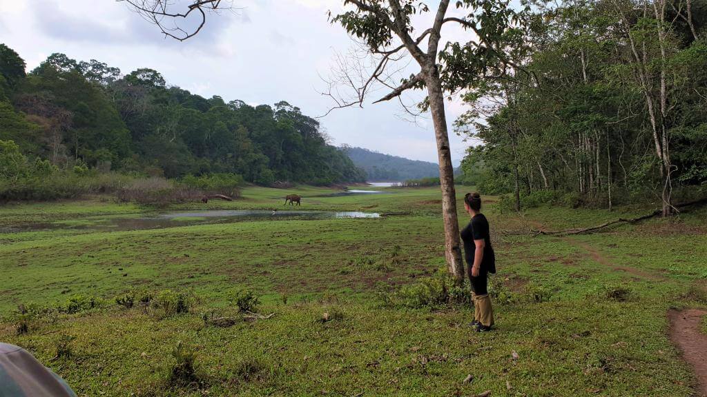 Sydindien rundrejse - Periyar nationalpark