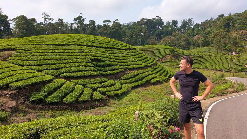 Teplantager i Munnar