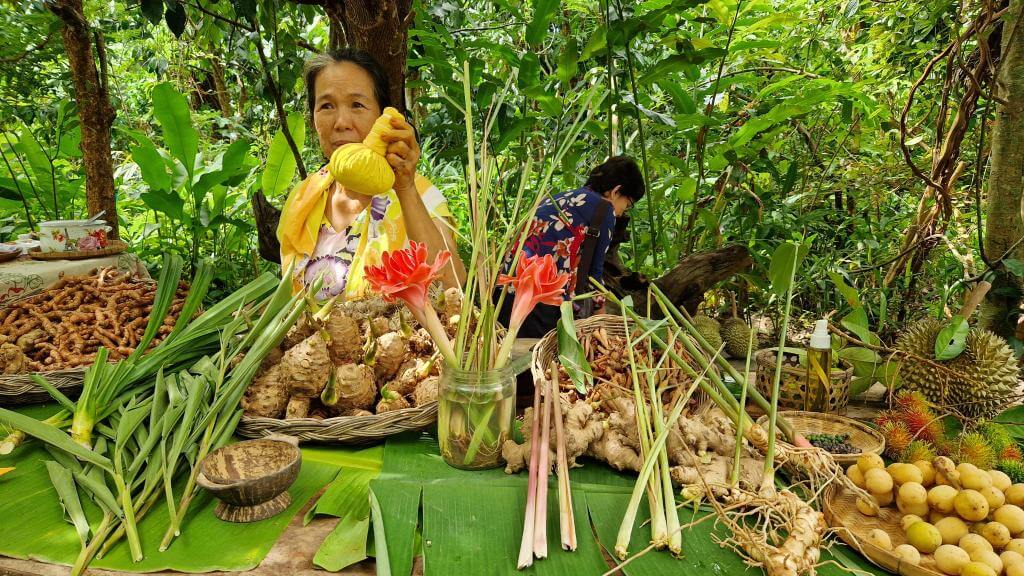 Thailandske urter på Koh Samui Thailand