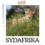 Sydafrika rejseblog