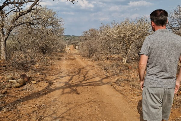 The Hidden Valley safari i Sydafrika