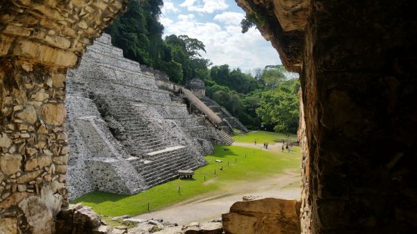 Jungle maya pyramider - Palenque ruiner