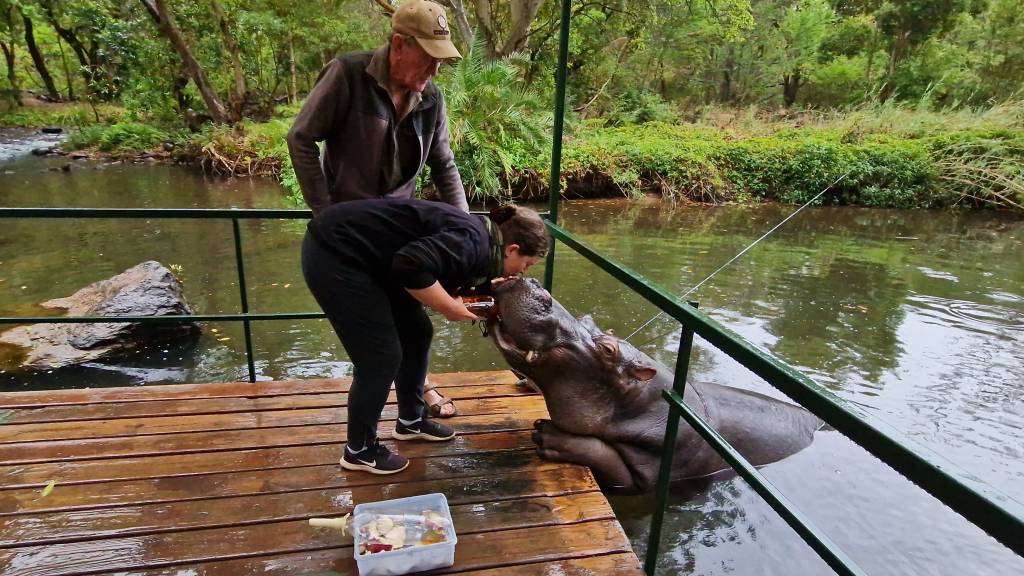 Tæt på dyrelivet i Sydafrika i året der gik 2023