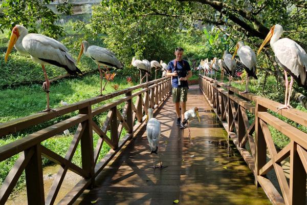 KL Bird Park - seværdighed i Kuala Lumpur