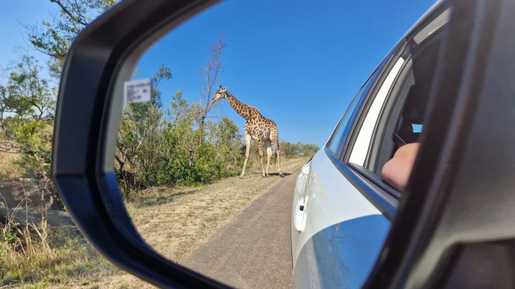 Pris på en rejse til Sydafrika