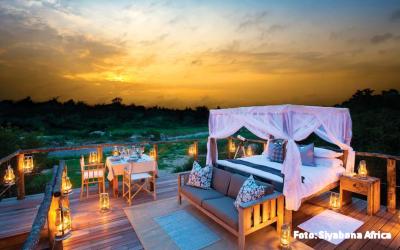 lion-sands-narina-lodge-kruger