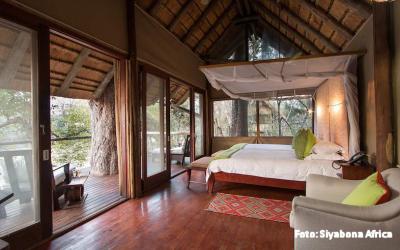 rhino-post-safari-lodge-safari-kruger-nationalpark