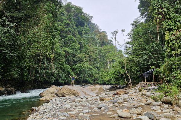Jungletur Sumatra Indonesien