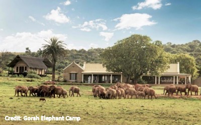 Gorah Elephant Camp i Addo Elefantpark