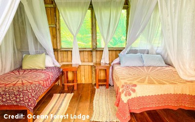 hotel_ocean-forest-lodge